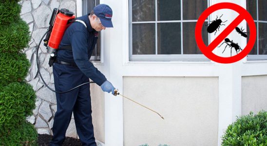 Pertek Bit İlaçlama böcek ilaçlama ve haşere kontrolü — ilaclama-tr.com